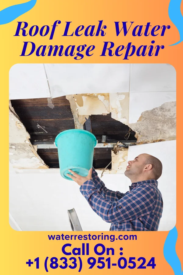 Roof Leak Water Damage Repair in Sunrise Shores, TX